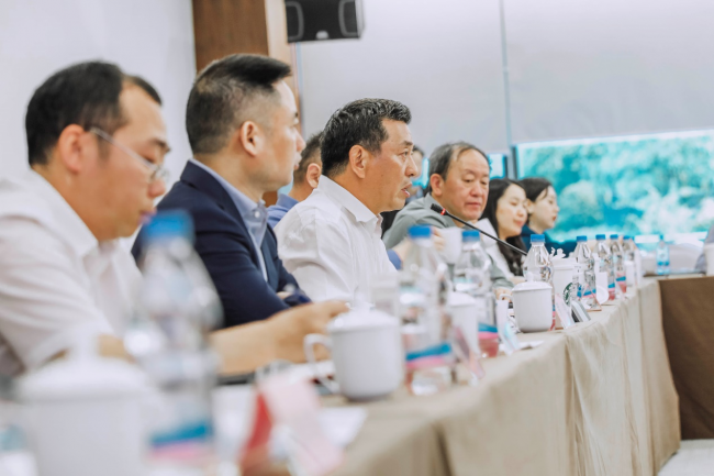 图片11 图片11